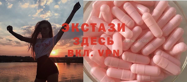 тгк Гусев