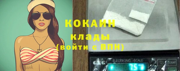 ПСИЛОЦИБИНОВЫЕ ГРИБЫ Гусиноозёрск