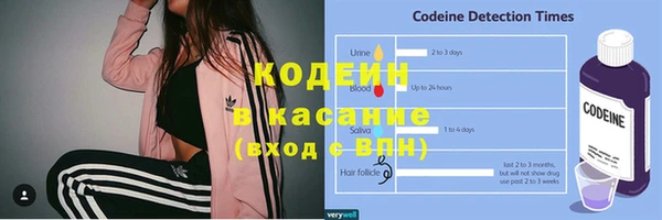тгк Гусев