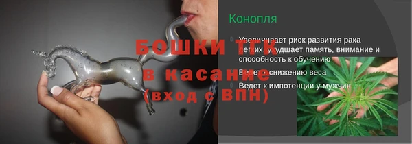 тгк Гусев