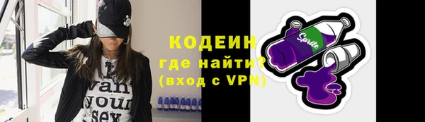 тгк Гусев