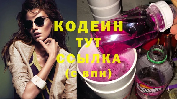 тгк Гусев