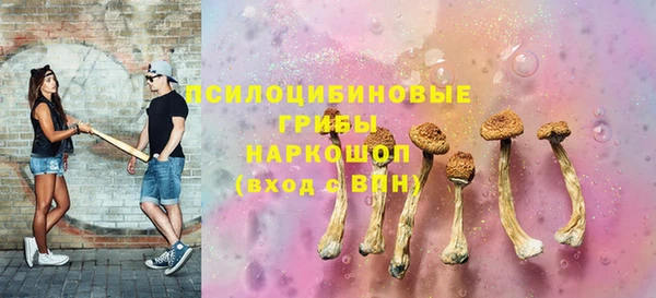 тгк Гусев