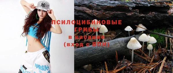 ПСИЛОЦИБИНОВЫЕ ГРИБЫ Гусиноозёрск