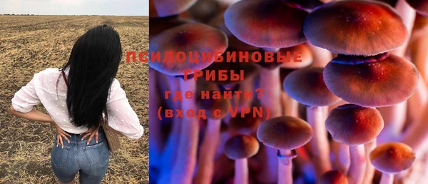 прущие крисы Дмитриев