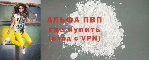 тгк Гусев