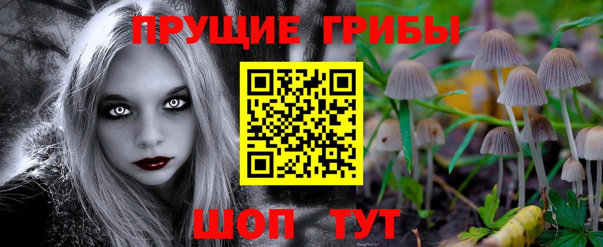 Псилоцибиновые грибы Cubensis Пыть-Ях
